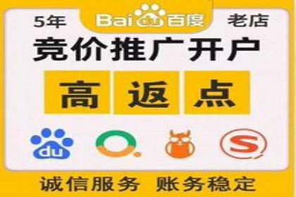 提升转化率：SEM广告投放的实战案例分享